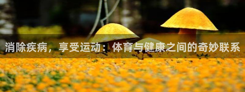 企鹅体育最新版本：消除疾病，享受运动：体育与健康之间的奇妙联系