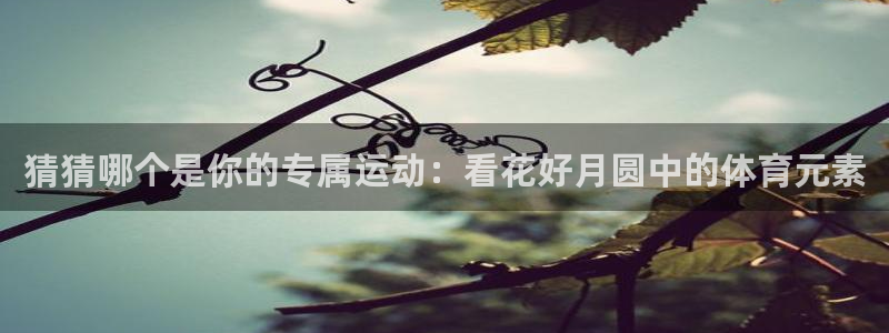 企鹅体育app下载安装：猜猜哪个是你的专属运动：看花好月圆中的体育元素