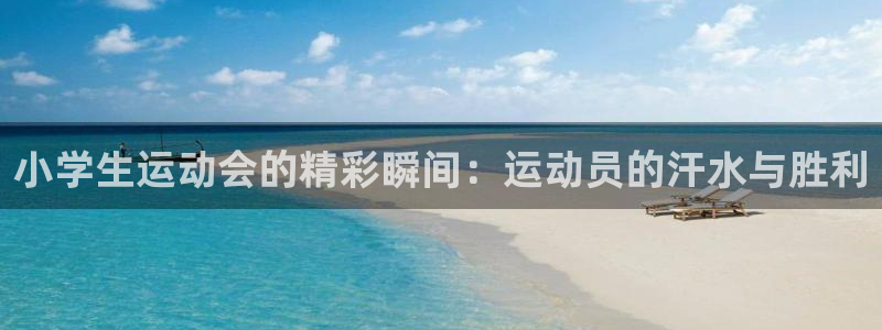 企鹅体育app官方下载：小学生运动会的精彩瞬间：运动员的汗水与胜利