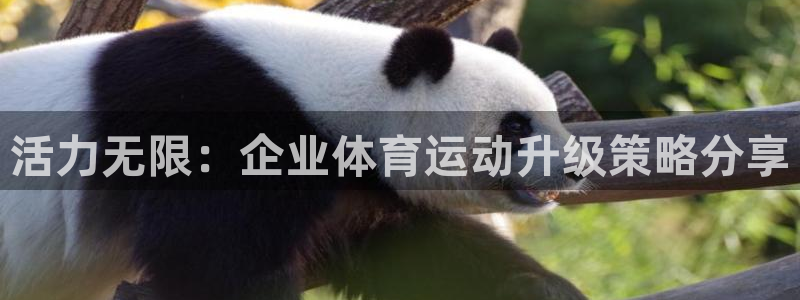 企鹅体育TV最低版本：活力无限：企业体育运动升级策略分享